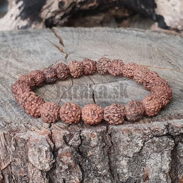 Rudraksha semiaka 8-9mm nramok